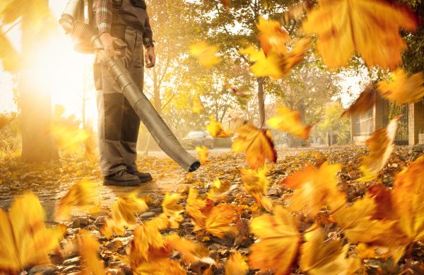 Leaf Blowing Service in Manchester