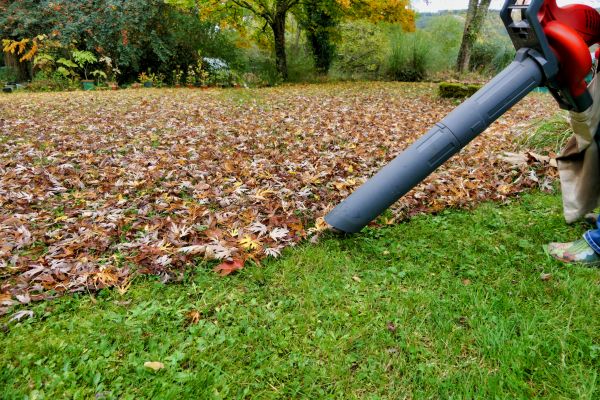 Leaf Vacuuming Service in Manchester