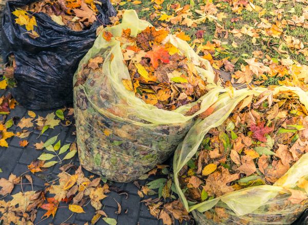 Yard Cleanup Service in Manchester
