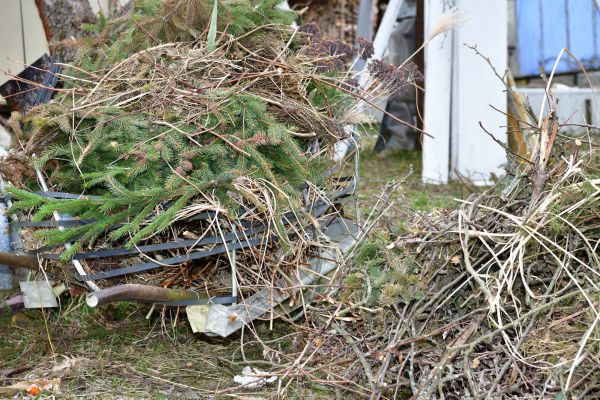 Yard Debris Removal in Manchester