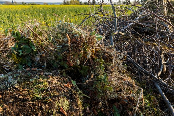 Brush Disposal in Manchester