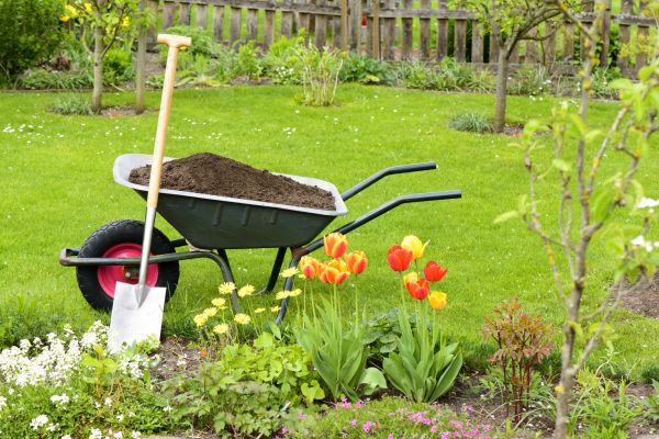 Spring Yard Cleanup in Manchester