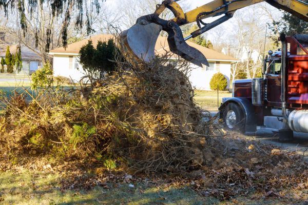Storm Debris Removal in Manchester