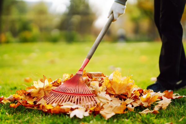 Ditch Leaf Removal in Manchester