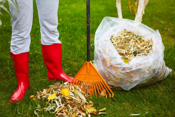 Leaf Disposal Service in Manchester
