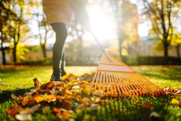 Leaves Raking in Manchester