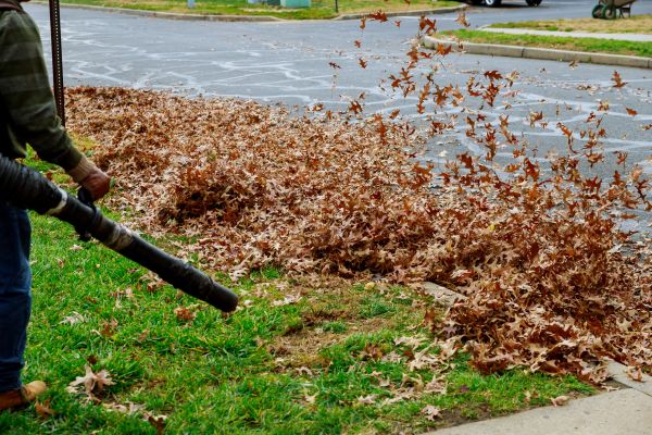 Garden Leaf Removal in Manchester