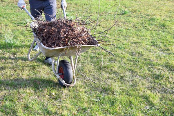 Yard Brush Removal in Manchester