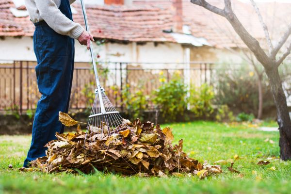 Spring Lawn Cleanup in Manchester