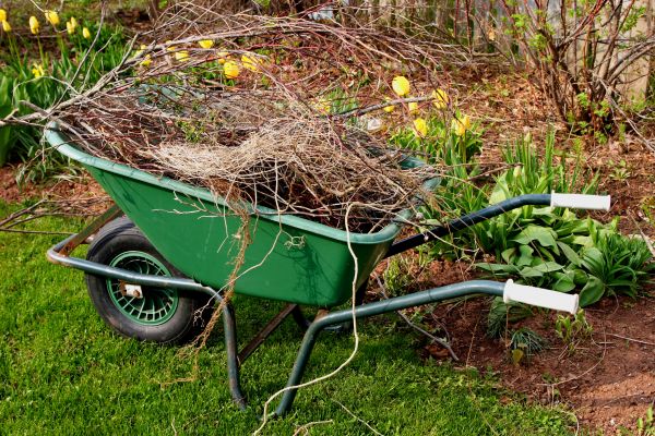 Lawn Waste Removal in Manchester