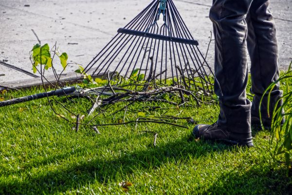 Yard Debris Cleanup in Manchester