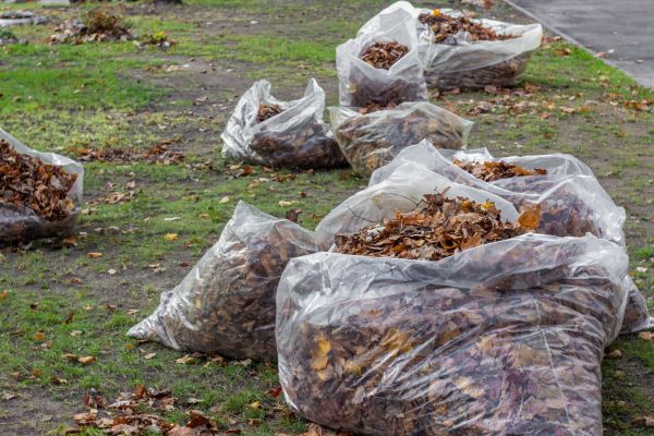 Leaf Pile Disposal in Manchester