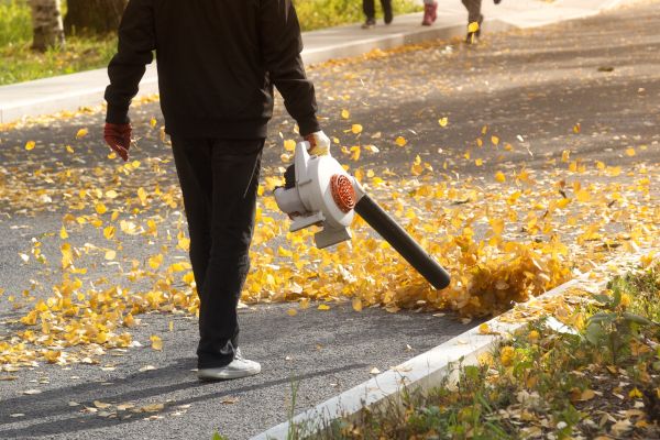 Commercial Leaf Removal in Manchester