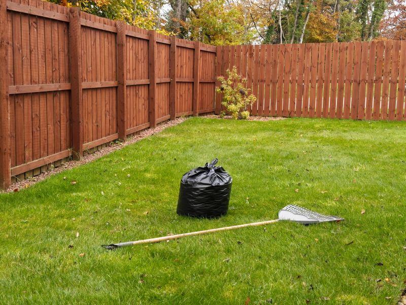 Fall Lawn Cleanup Service detail