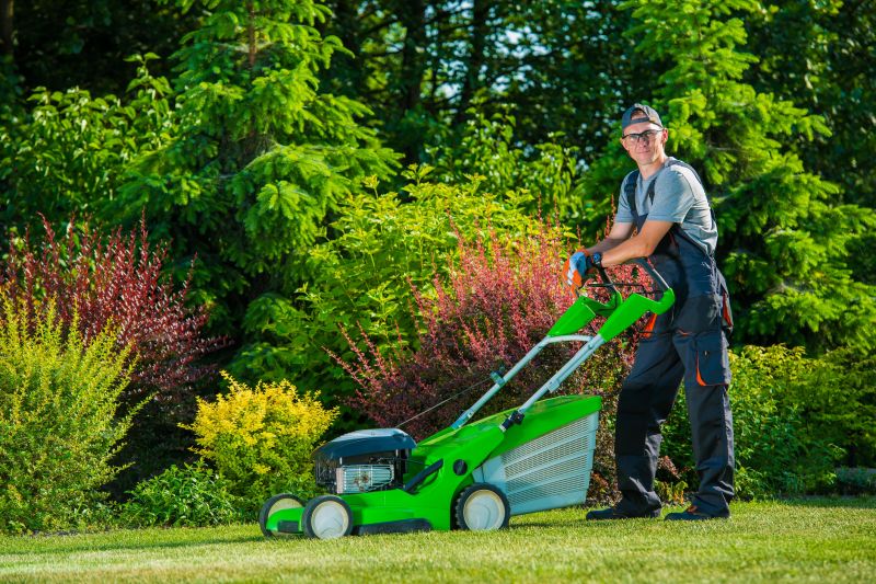 Lawn Clean Up Equipment